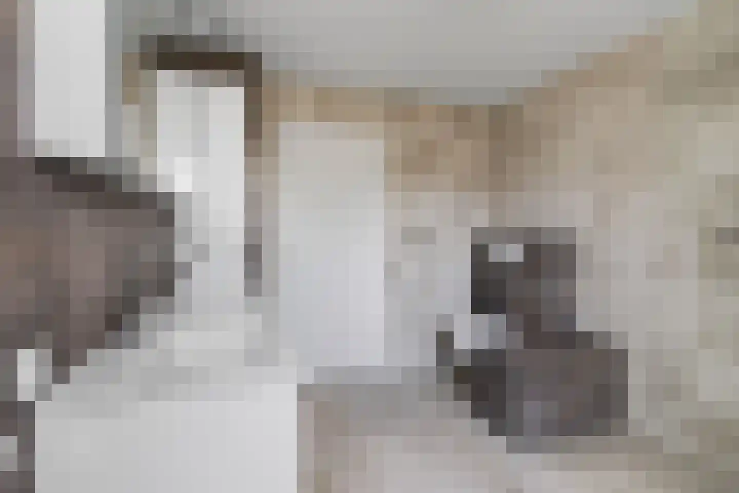 Sparrenlaan 2 Valkenswaard thumbnail 38