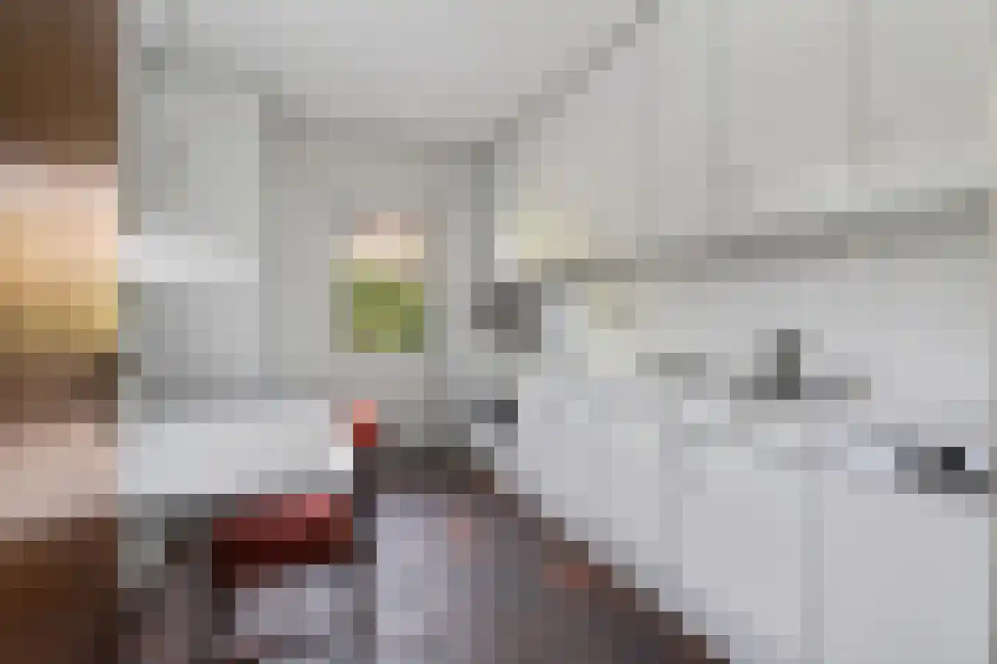 Sparrenlaan 2 Valkenswaard thumbnail 4