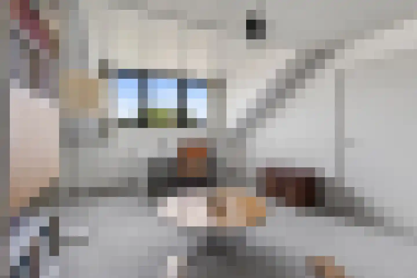Sparrenlaan 2 Valkenswaard thumbnail 42