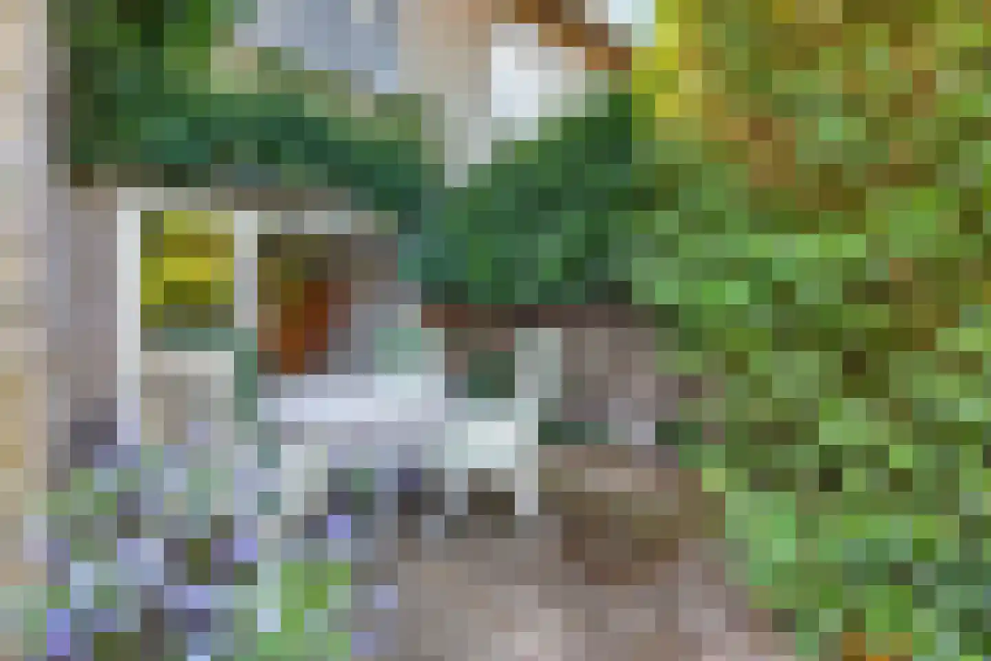 Sparrenlaan 2 Valkenswaard thumbnail 48