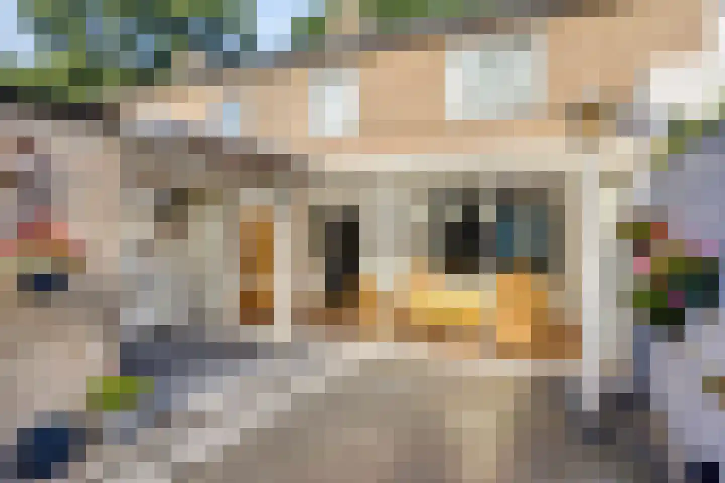 Sparrenlaan 20 Nuenen thumbnail 19