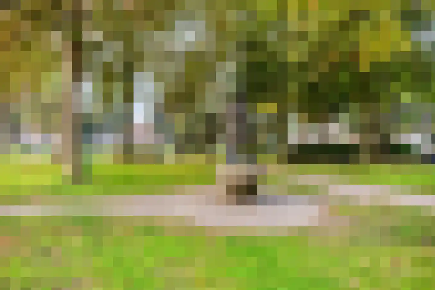 Sparrenlaan 20 Nuenen thumbnail 20