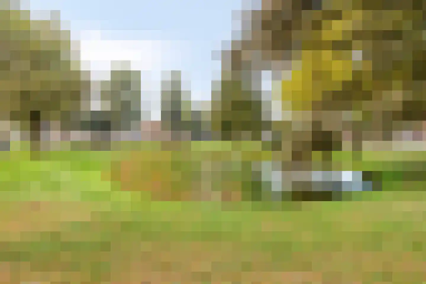 Sparrenlaan 20 Nuenen thumbnail 21