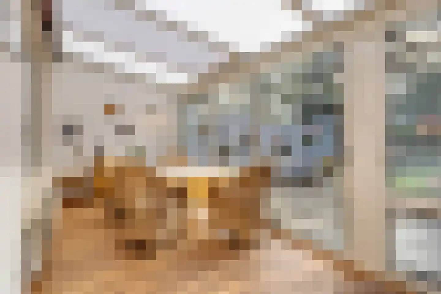 Sparrenlaan 20 Nuenen thumbnail 4