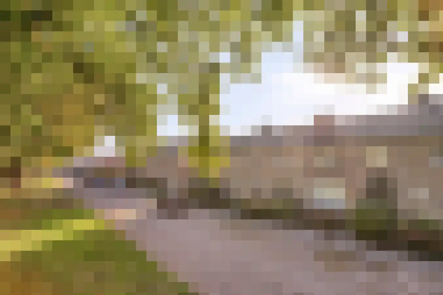 Sparrenlaan 20 Nuenen thumbnail 5
