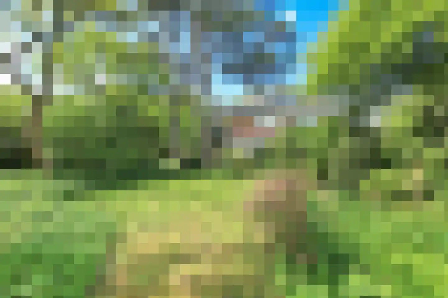 Sparrenlaan 21 Aerdenhout thumbnail 17