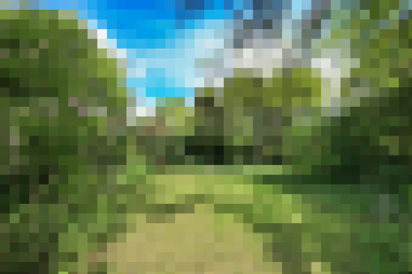 Sparrenlaan 21 Aerdenhout thumbnail 18