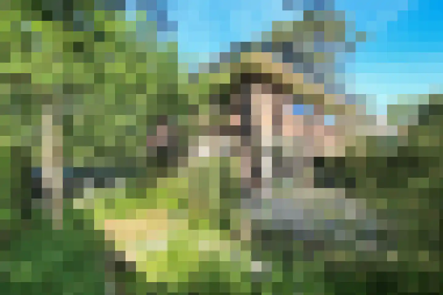 Sparrenlaan 21 Aerdenhout thumbnail 19