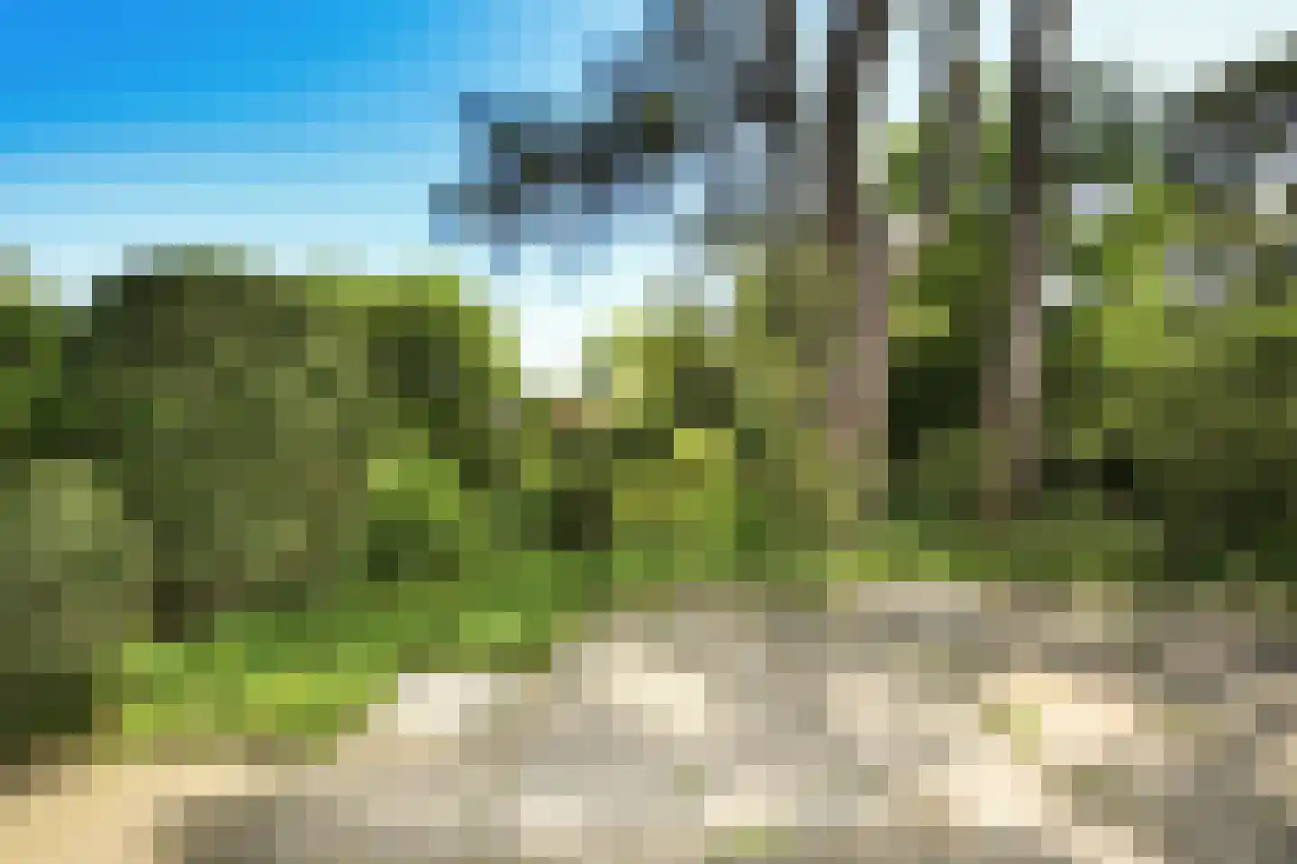 Sparrenlaan 21 Aerdenhout thumbnail 20