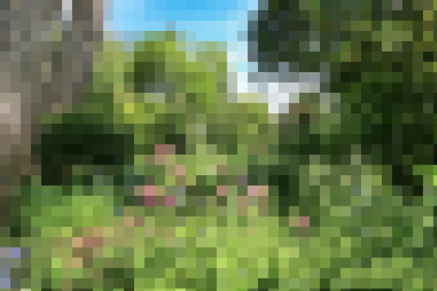Sparrenlaan 21 Aerdenhout thumbnail 22