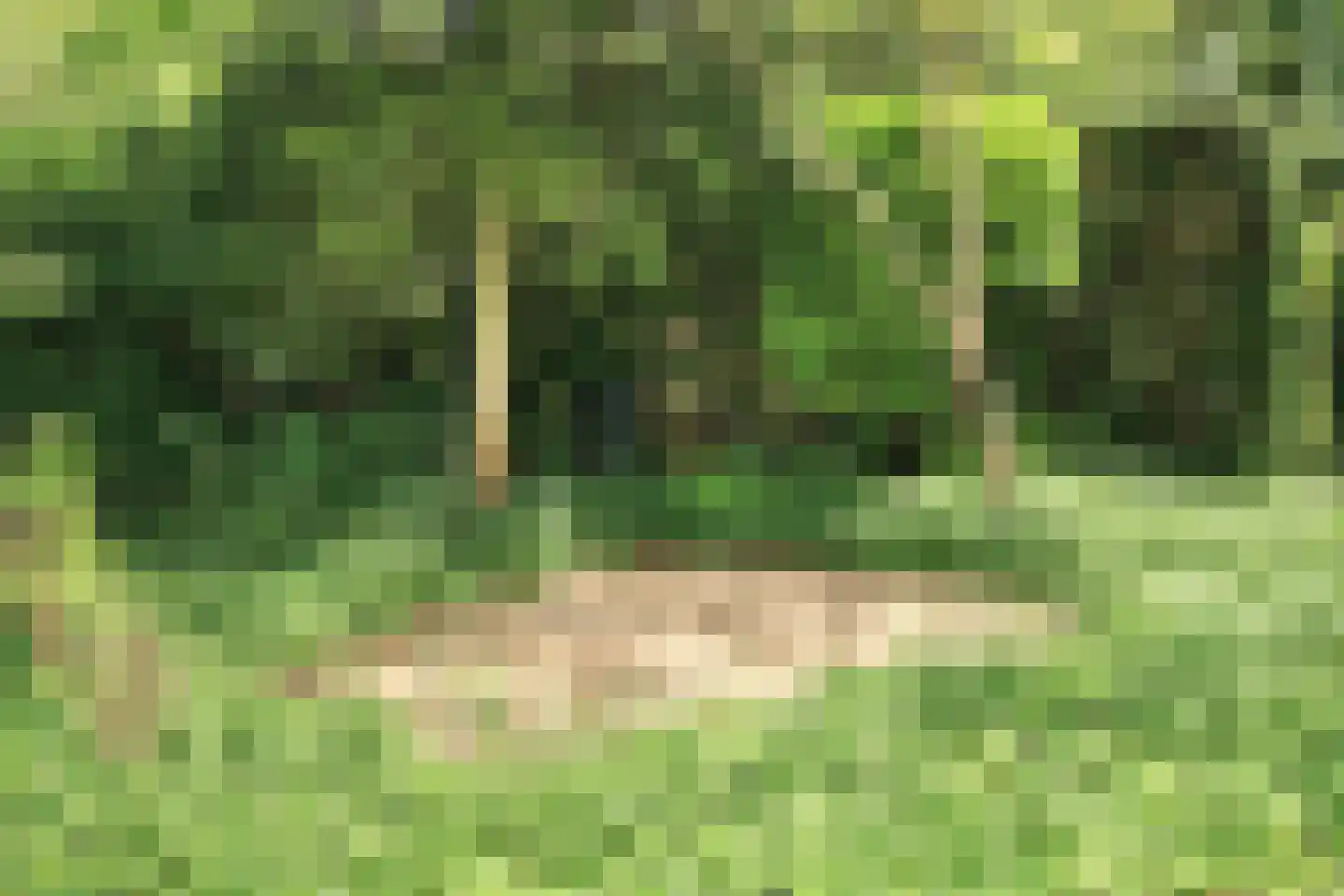 Sparrenlaan 21 Aerdenhout thumbnail 23