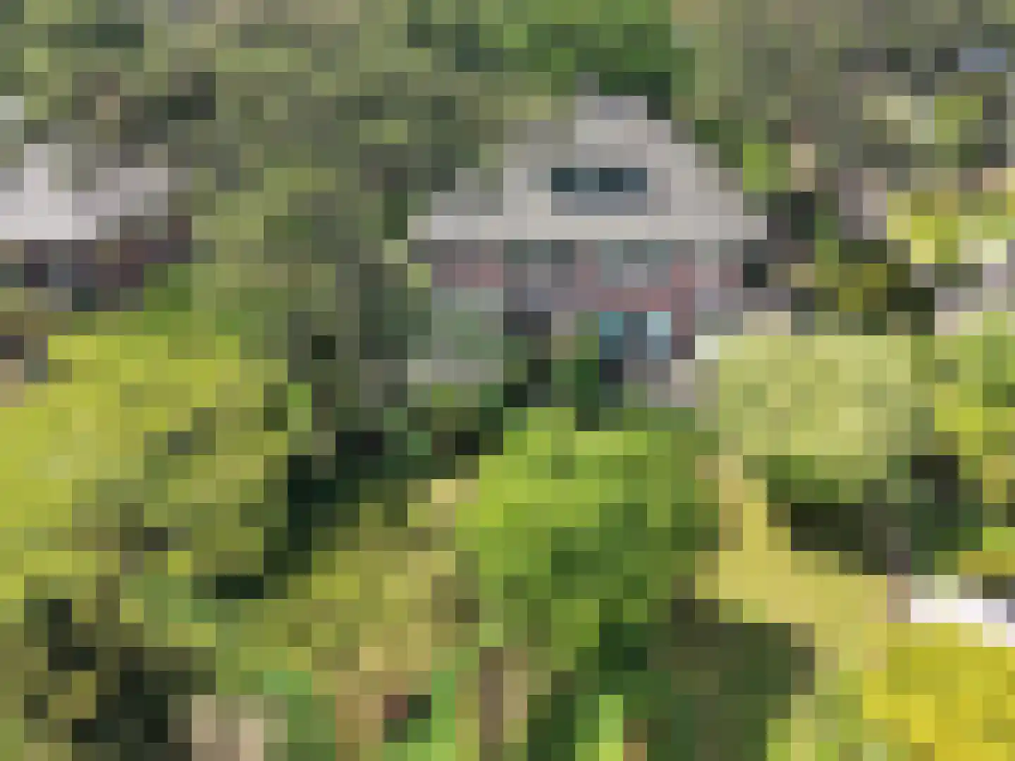 Sparrenlaan 21 Aerdenhout thumbnail 24