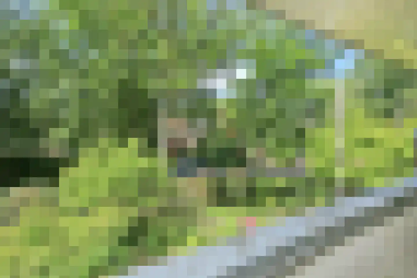 Sparrenlaan 21 Aerdenhout thumbnail 31