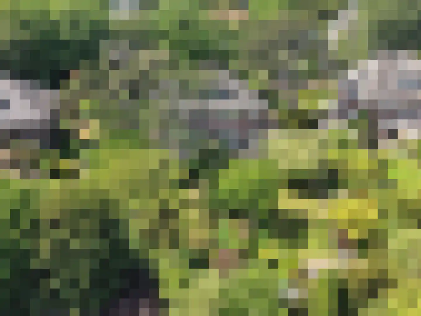 Sparrenlaan 21 Aerdenhout thumbnail 4