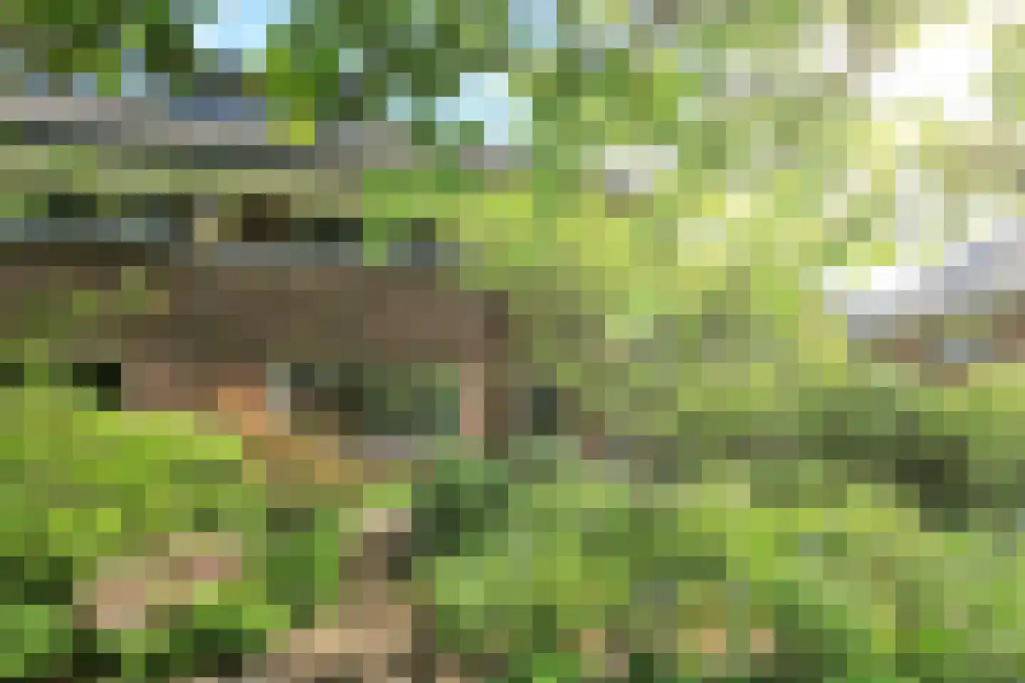 Sparrenlaan 21 Aerdenhout thumbnail 46