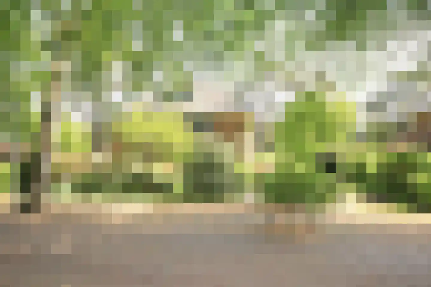 Sparrenlaan 21 Aerdenhout thumbnail 48