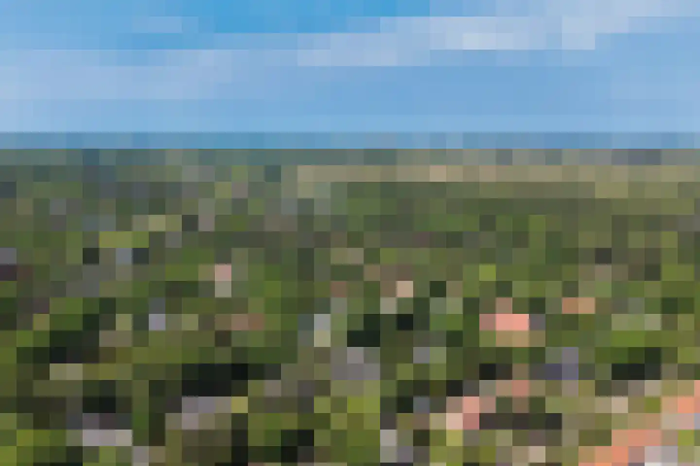Sparrenlaan 21 Aerdenhout thumbnail 5