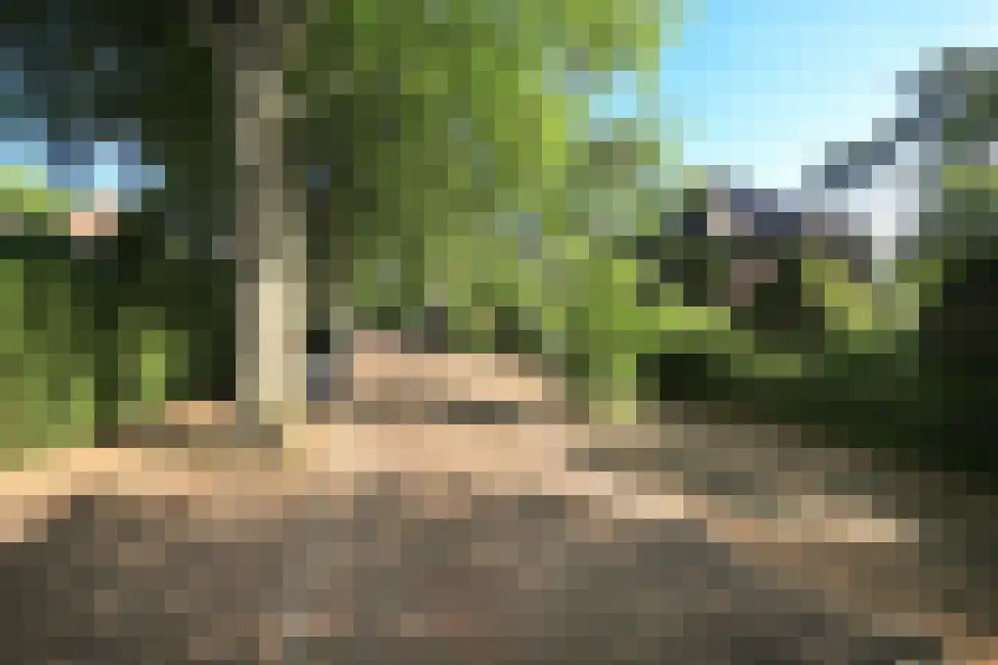 Sparrenlaan 21 Aerdenhout thumbnail 51