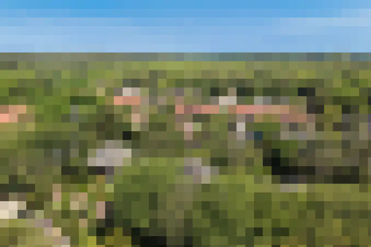Sparrenlaan 21 Aerdenhout thumbnail 52