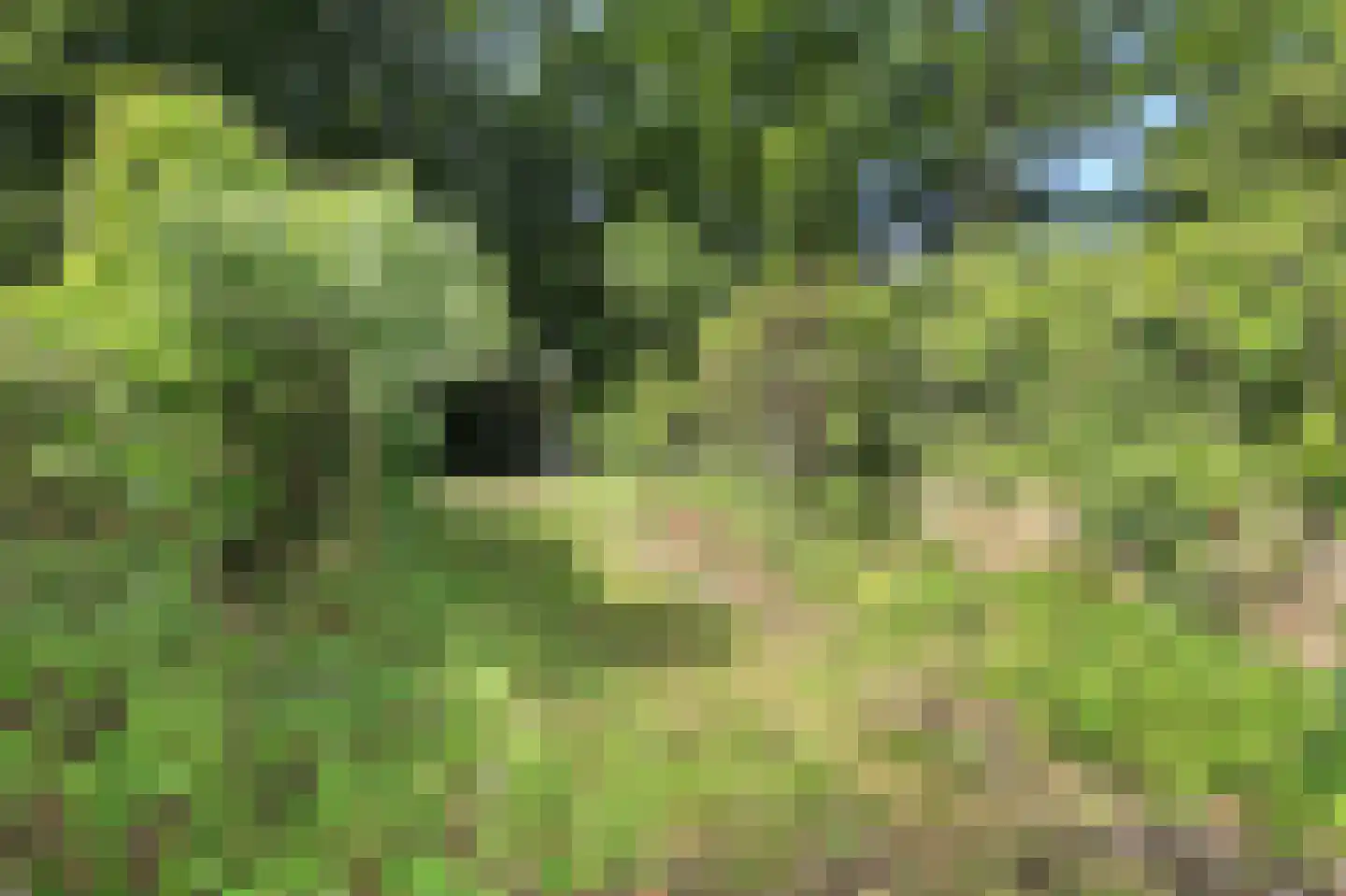 Sparrenlaan 21 Aerdenhout thumbnail 56