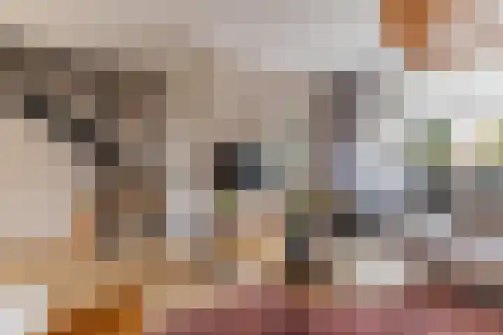 Sparrenlaan 21 Rijssen thumbnail 13