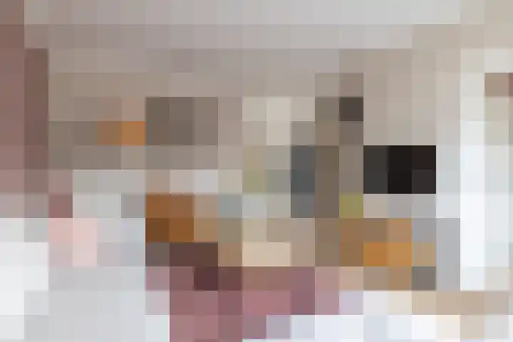 Sparrenlaan 21 Rijssen thumbnail 14