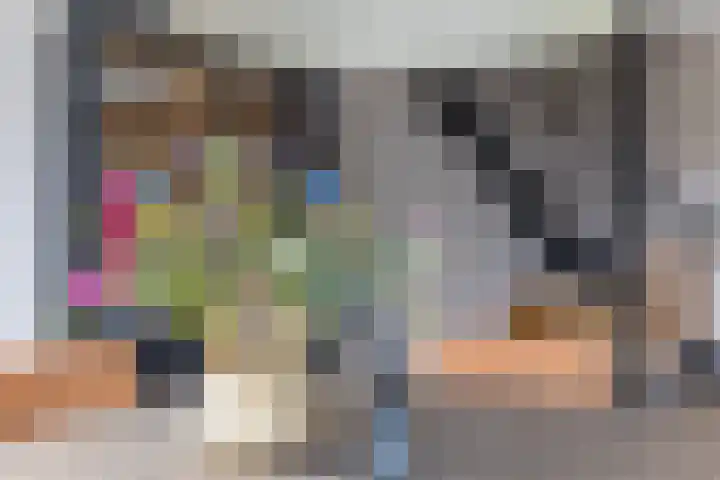 Sparrenlaan 21 Rijssen thumbnail 25