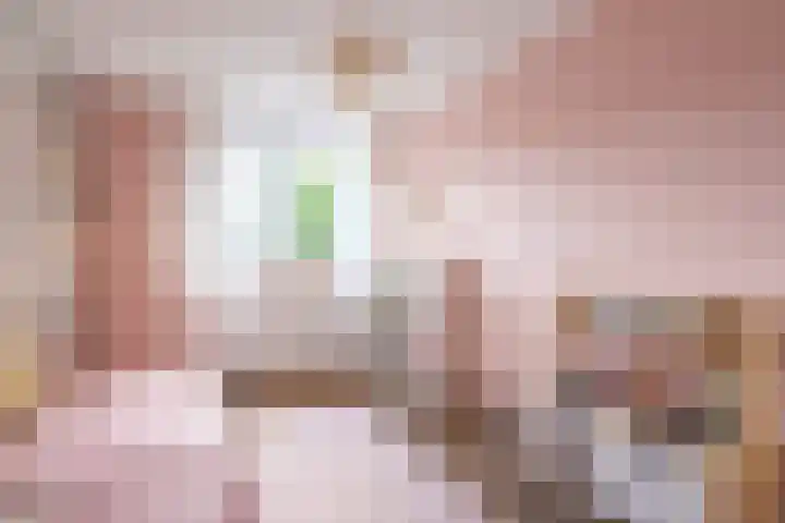 Sparrenlaan 21 Rijssen thumbnail 30