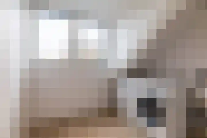 Sparrenlaan 21 Rijssen thumbnail 47