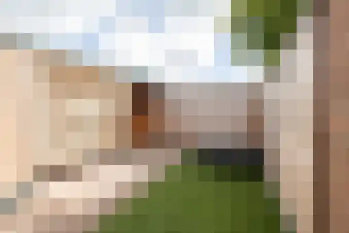 Sparrenlaan 21 Rijssen thumbnail 49