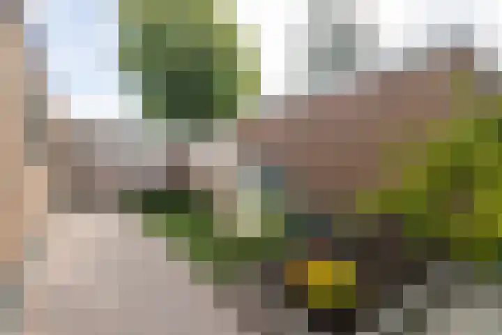 Sparrenlaan 21 Rijssen thumbnail 50