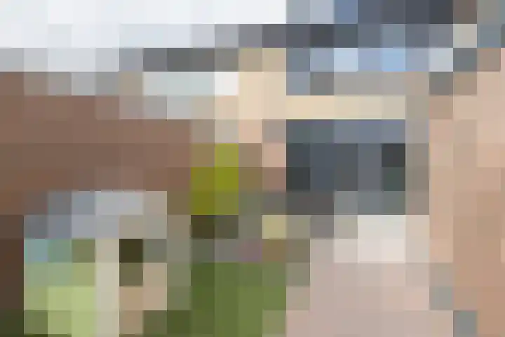 Sparrenlaan 21 Rijssen thumbnail 55