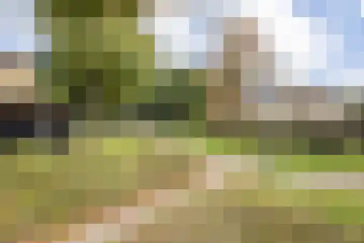 Sparrenlaan 21 Rijssen thumbnail 57