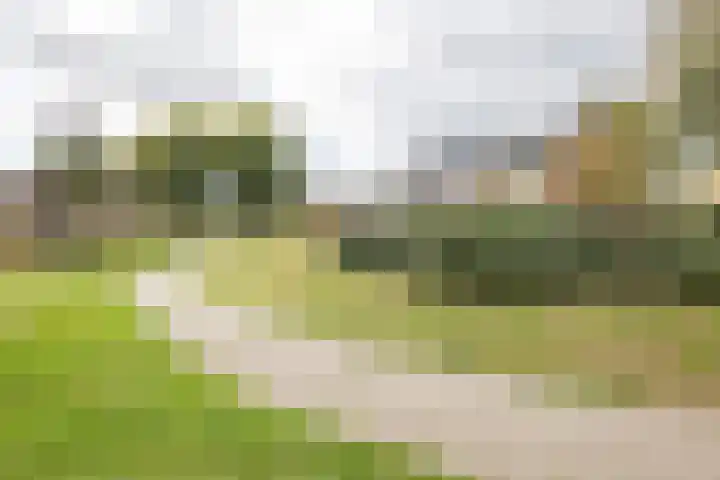 Sparrenlaan 21 Rijssen thumbnail 58