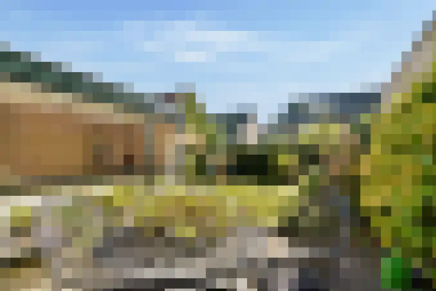 Sparrenlaan 22 Driebergen-Rijsenburg thumbnail 20