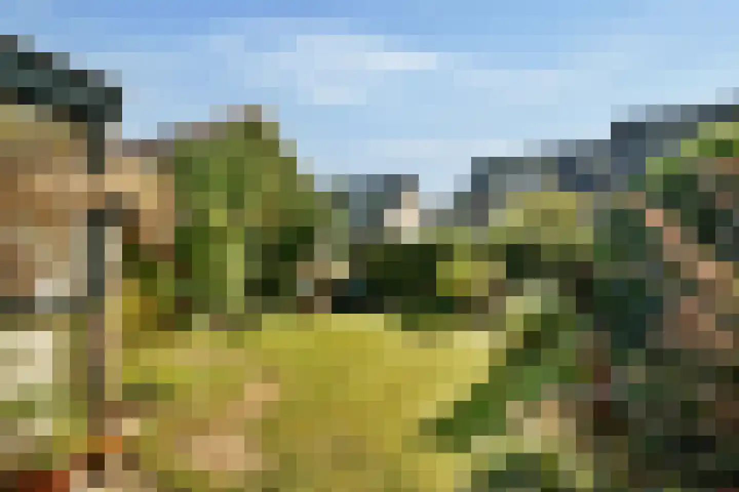 Sparrenlaan 22 Driebergen-Rijsenburg thumbnail 21