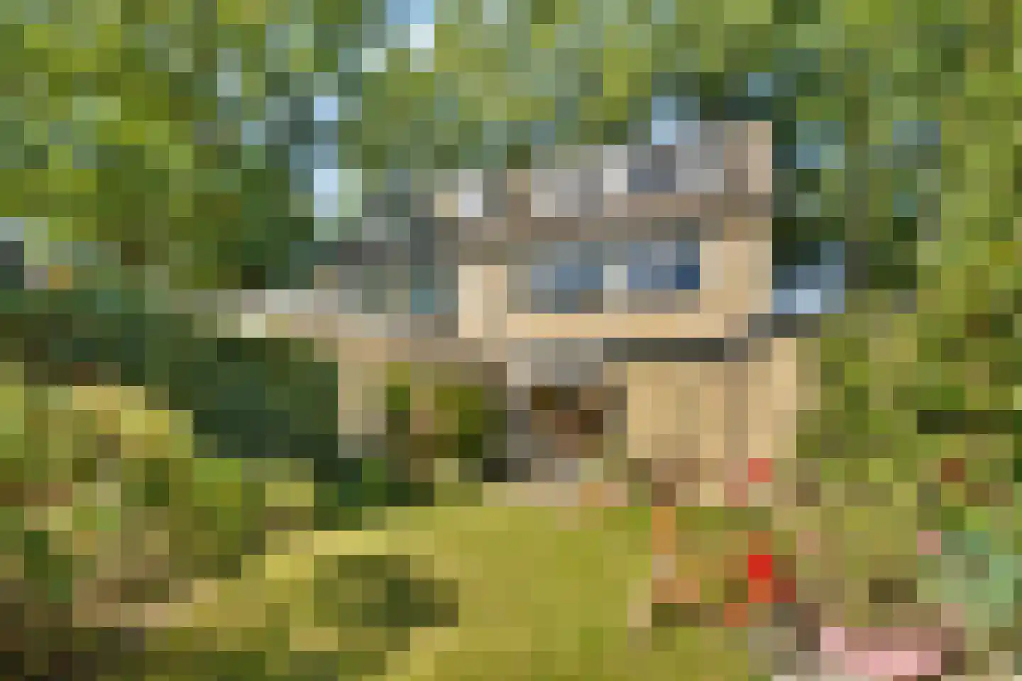 Sparrenlaan 22 Driebergen-Rijsenburg thumbnail 23
