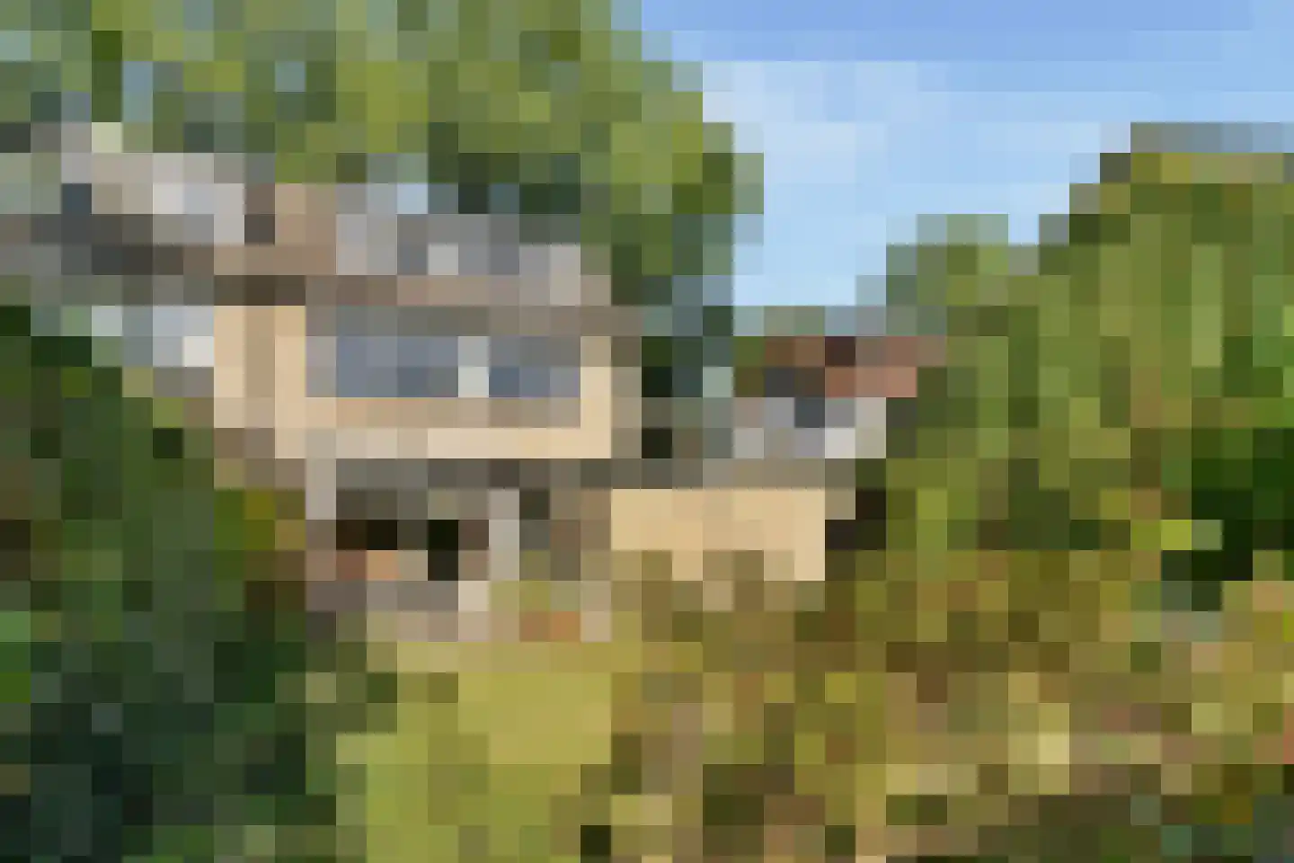 Sparrenlaan 22 Driebergen-Rijsenburg thumbnail 25
