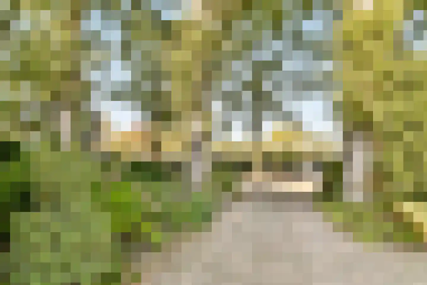 Sparrenlaan 22 Driebergen-Rijsenburg thumbnail 45