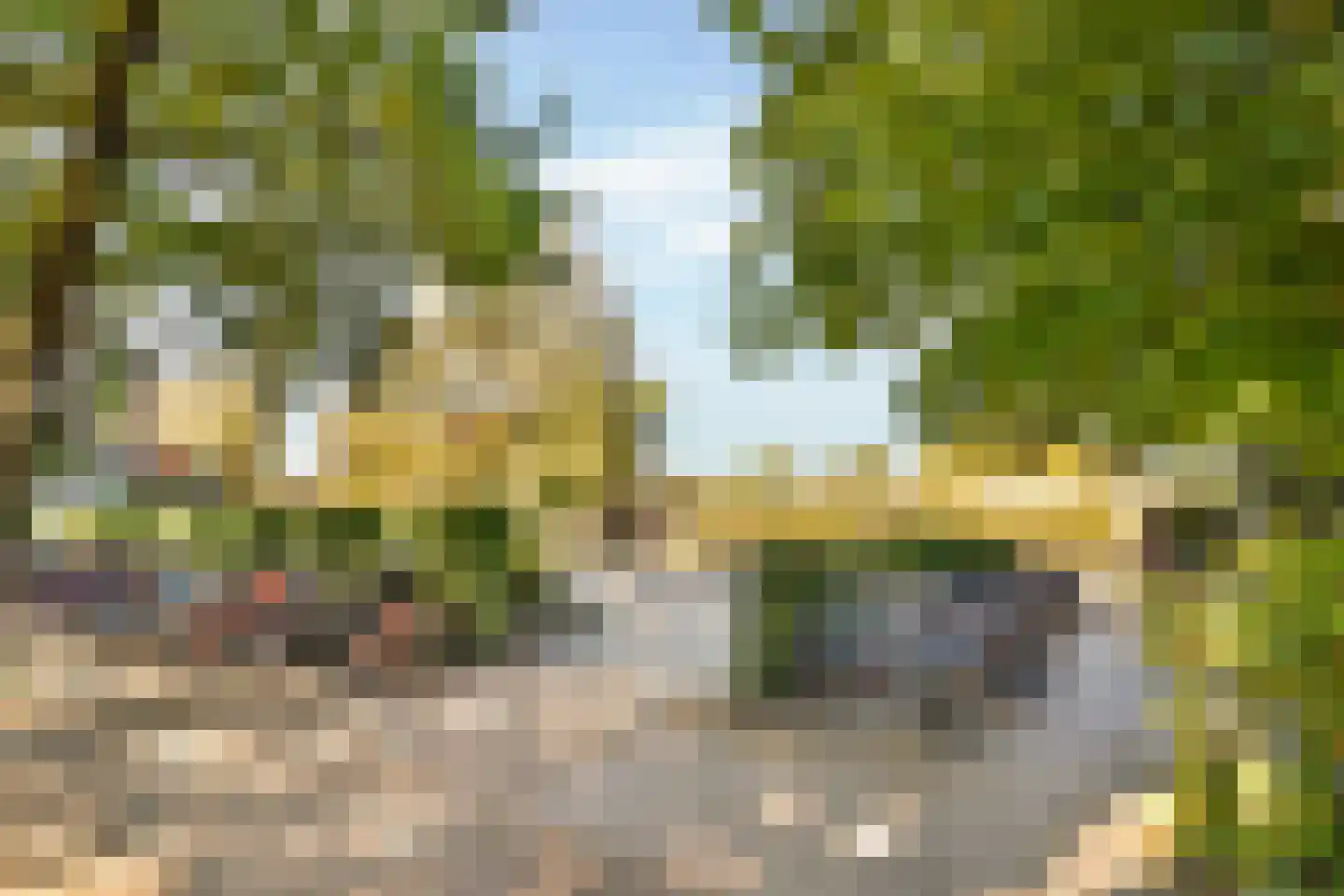 Sparrenlaan 22 Driebergen-Rijsenburg thumbnail 48