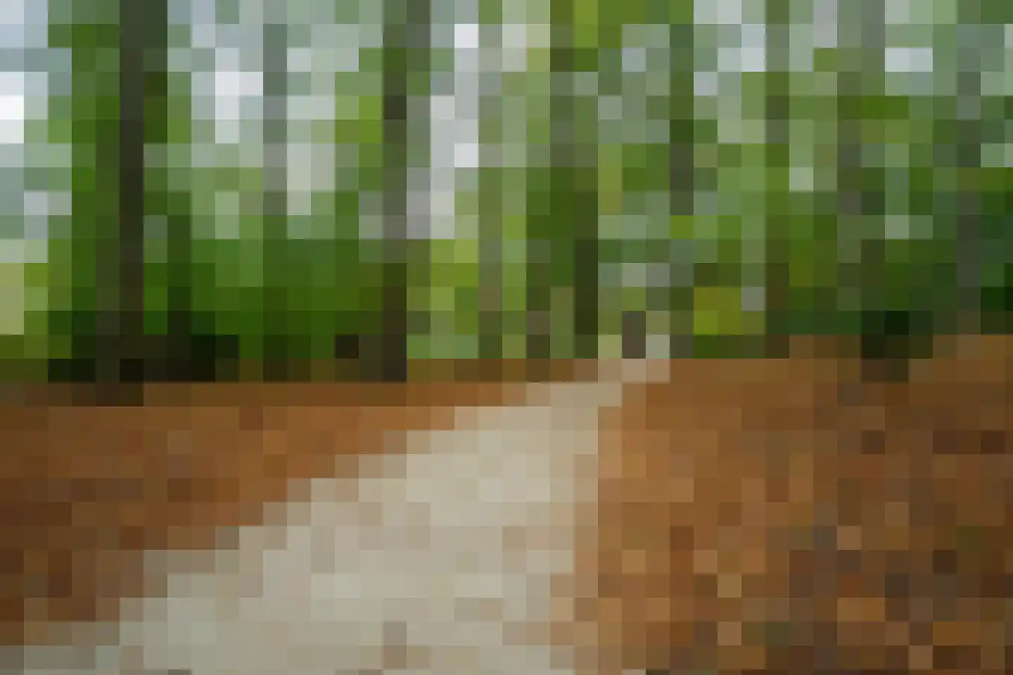 Sparrenlaan 22 Driebergen-Rijsenburg thumbnail 51