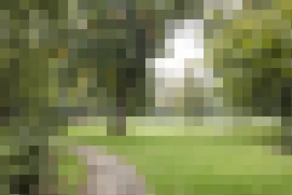 Sparrenlaan 22 Driebergen-Rijsenburg thumbnail 52
