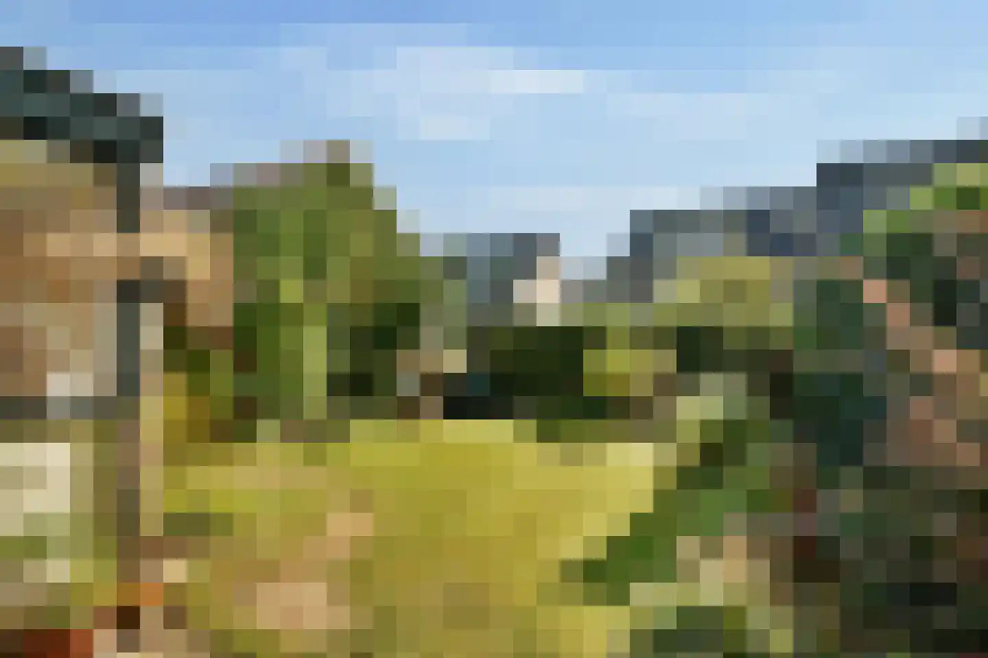 Sparrenlaan 22 Driebergen-Rijsenburg thumbnail 6