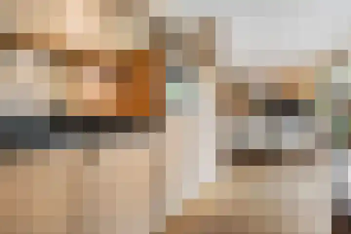Sparrenlaan 22 Veenendaal thumbnail 15