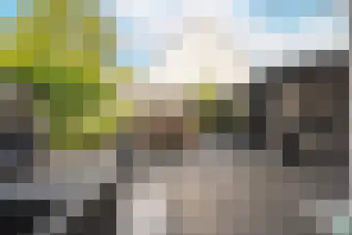 Sparrenlaan 22 Veenendaal thumbnail 30