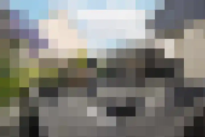 Sparrenlaan 22 Veenendaal thumbnail 31