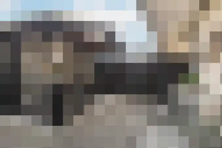 Sparrenlaan 22 Veenendaal thumbnail 32