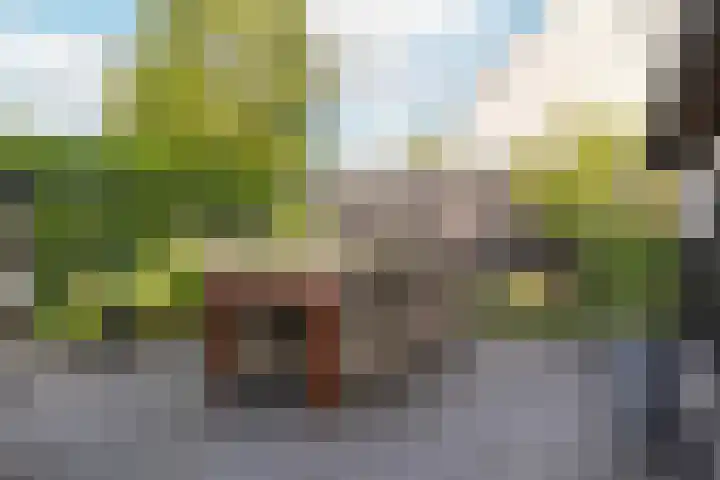 Sparrenlaan 22 Veenendaal thumbnail 33