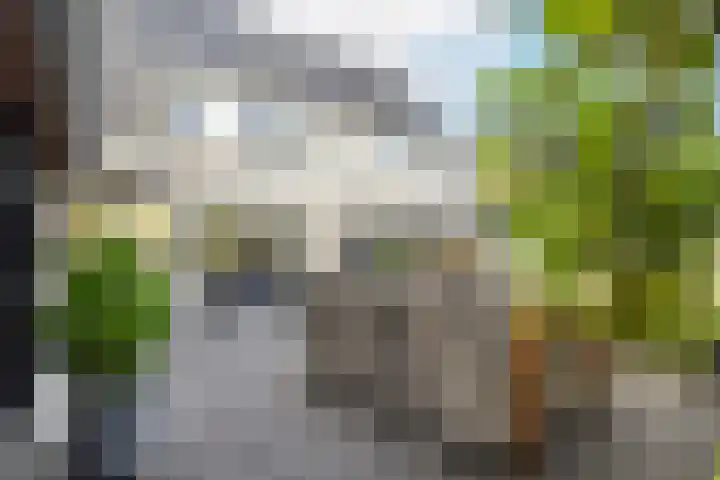 Sparrenlaan 22 Veenendaal thumbnail 34