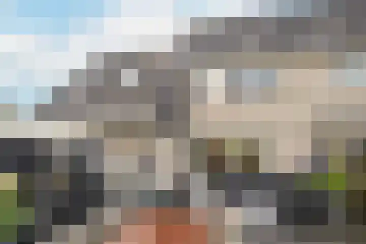 Sparrenlaan 22 Veenendaal thumbnail 35